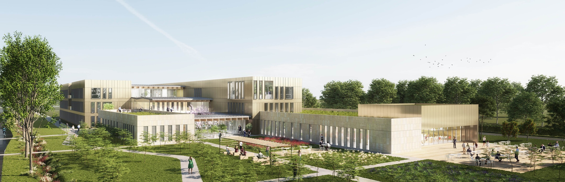 Campus Chartreuse - Castres (81)