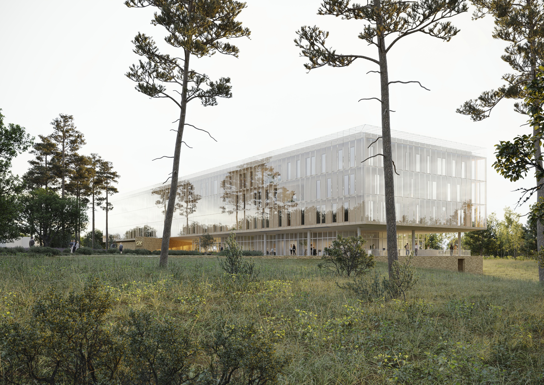 Siège du Crédit Agricole NMP - Montrozier (12)