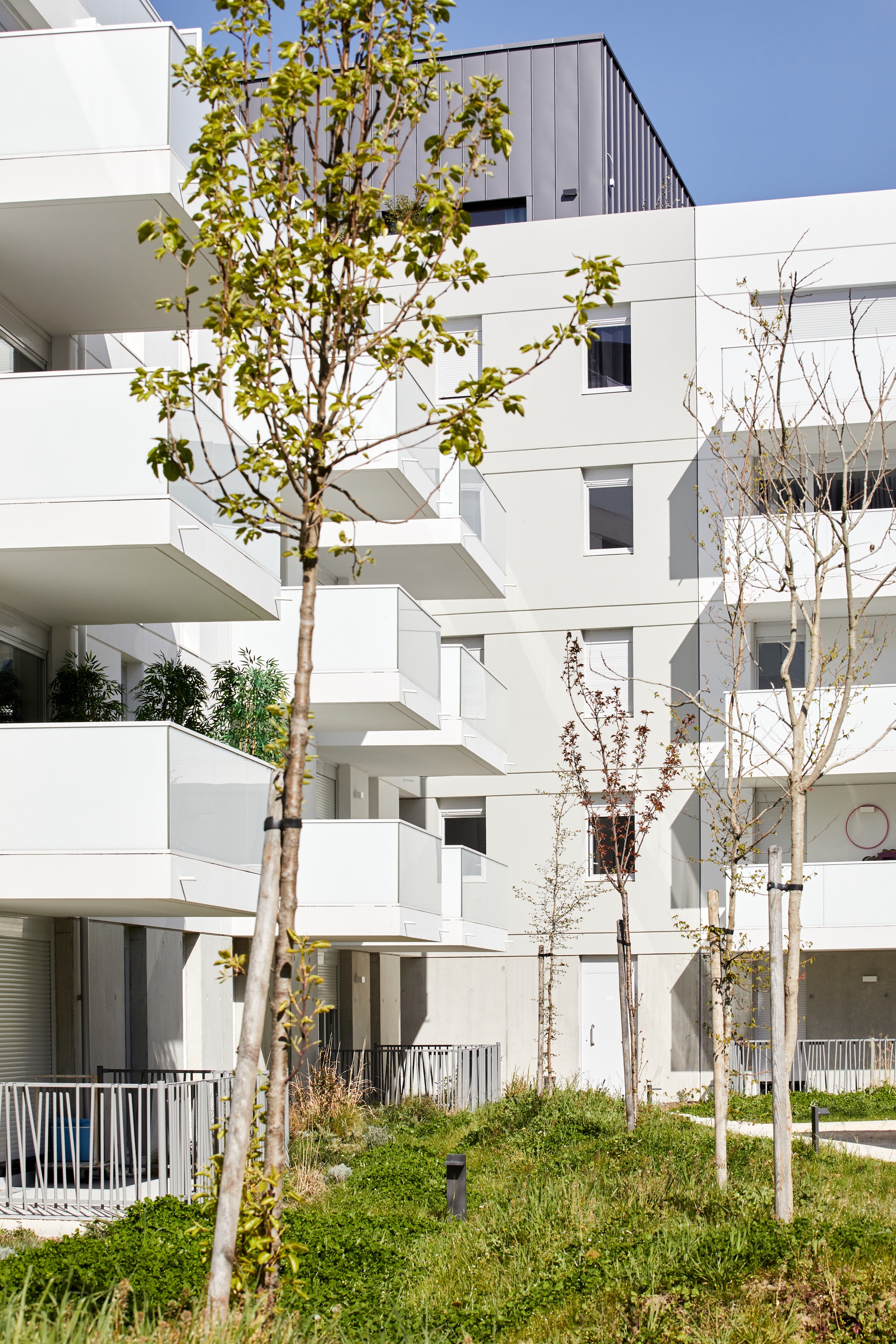 Résidence Dédicace - Toulouse (31)