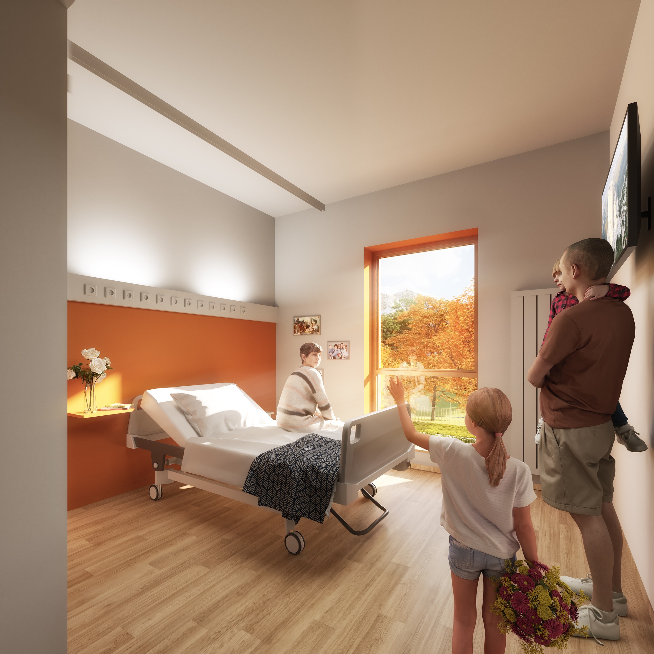 Hôpital du Pays d'Olmes - Lavelanet (09)